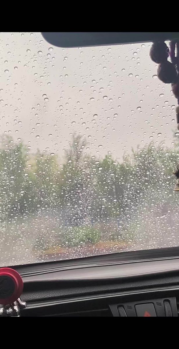 bircc995134's tweet photo. Just got caught in a sudden warm spring drizzle—windows rolled down, favorite song on, and the air smells like blooming cherry blossoms. Pure tiny joy right now!， https://t.co/ZgrZn68r3O