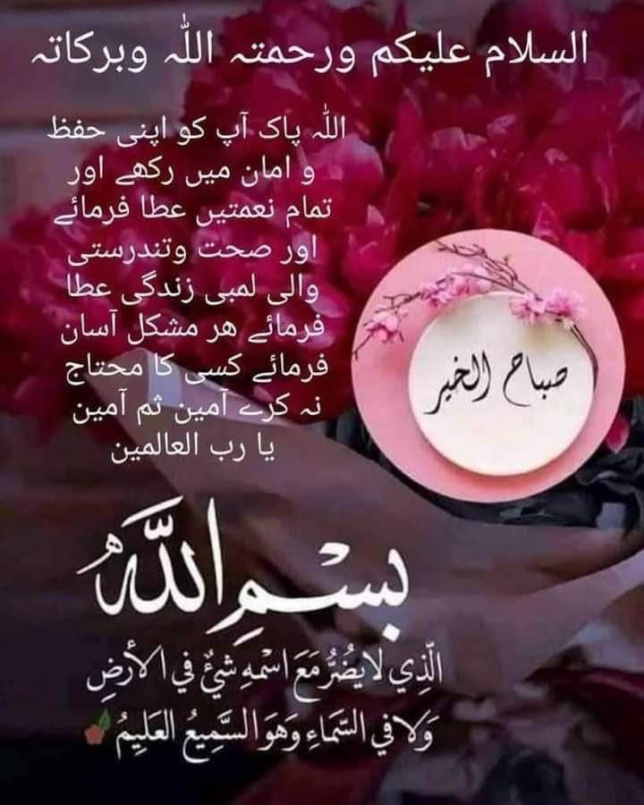 pirRashid's tweet photo. @Hudaa_1122 وعليكم السلام ورحمة الله وبركاته صبح بخير https://t.co/4OEuBmSdlH