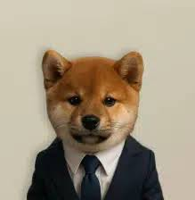 MerkinTheOnes1's tweet photo. Taking a look at every runner right now

Habibiinu
Oilinu
Allinu
Artificial Inu
Coinu
Uni
Linkedinu

it is clear we are in INU Capital markets https://t.co/A5xjaHq3Pt