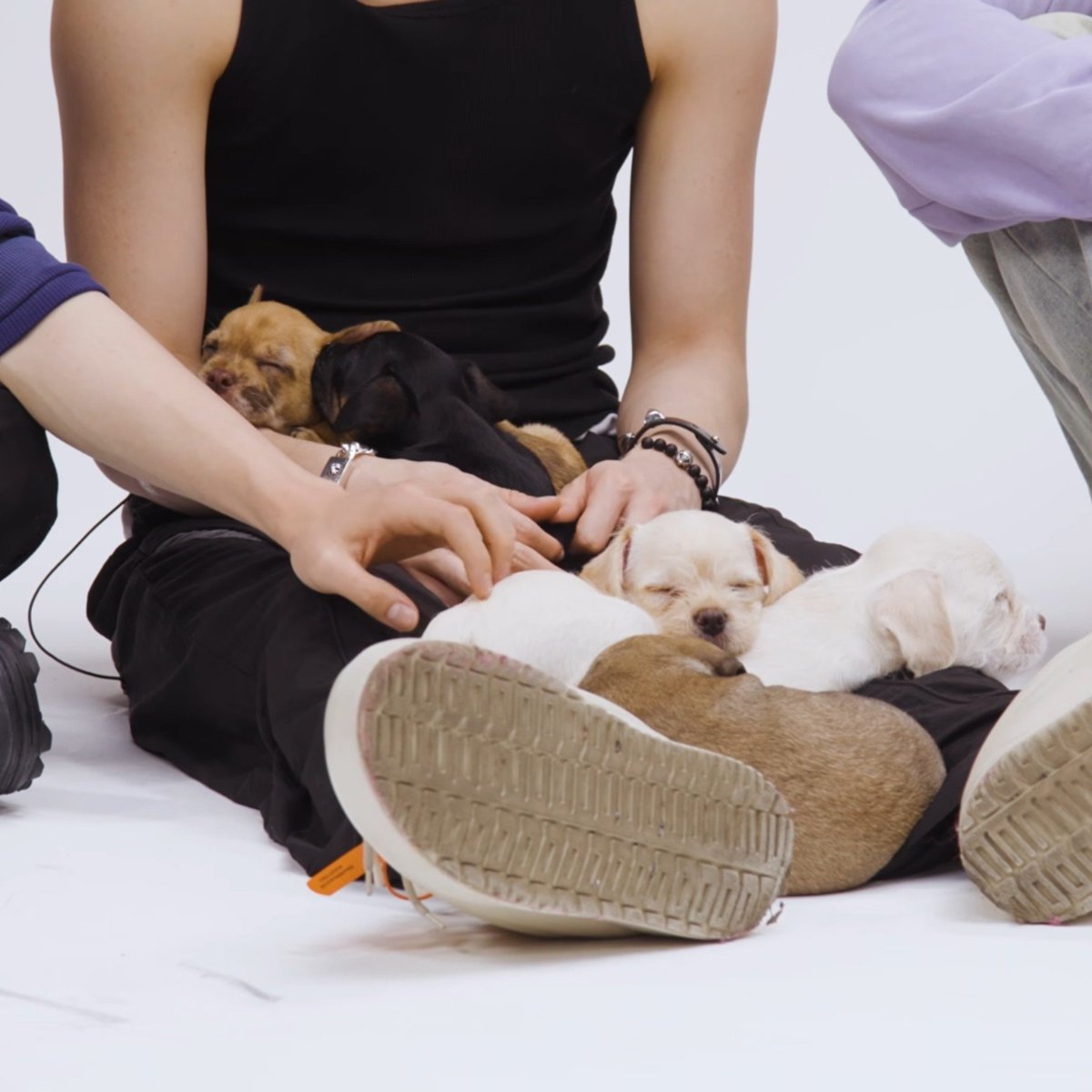 lengtube's tweet photo. 아니진짜압도적이긴해 다리둥지안에 뙞3마리를거느리고 강아6마리인지7마리인지를거느리는동물의신 https://t.co/XmH7eJbGVs