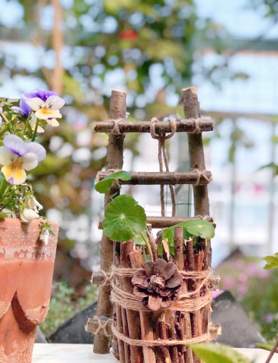 cocop782878's tweet photo. Just upcycled an old mason jar into a cute desk plant holder for my succulents ! No fancy tools needed, just some paint and twine – easy peasy DIY win! https://t.co/X2WUEm9iq5