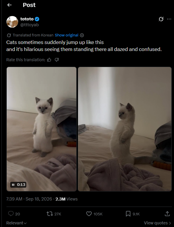 mintA4ther's tweet photo. this might actually be a disgusting front run 🤣🤣

this cat has Michi energy but somehow looks even more memeable.

2.3 M views in less than 24h  and it’s already starting to spread.

if people start remixing this thing, it could get out of hand fast.

way too cute
way too stupid
perfect meme face
this has all the ingredients to go giga viral.

https://t.co/1QjcTUB1fm