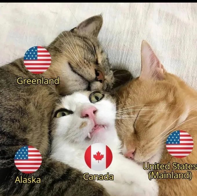 TexaninMex's tweet photo. @almostjingo https://t.co/cahQ4sqtCA