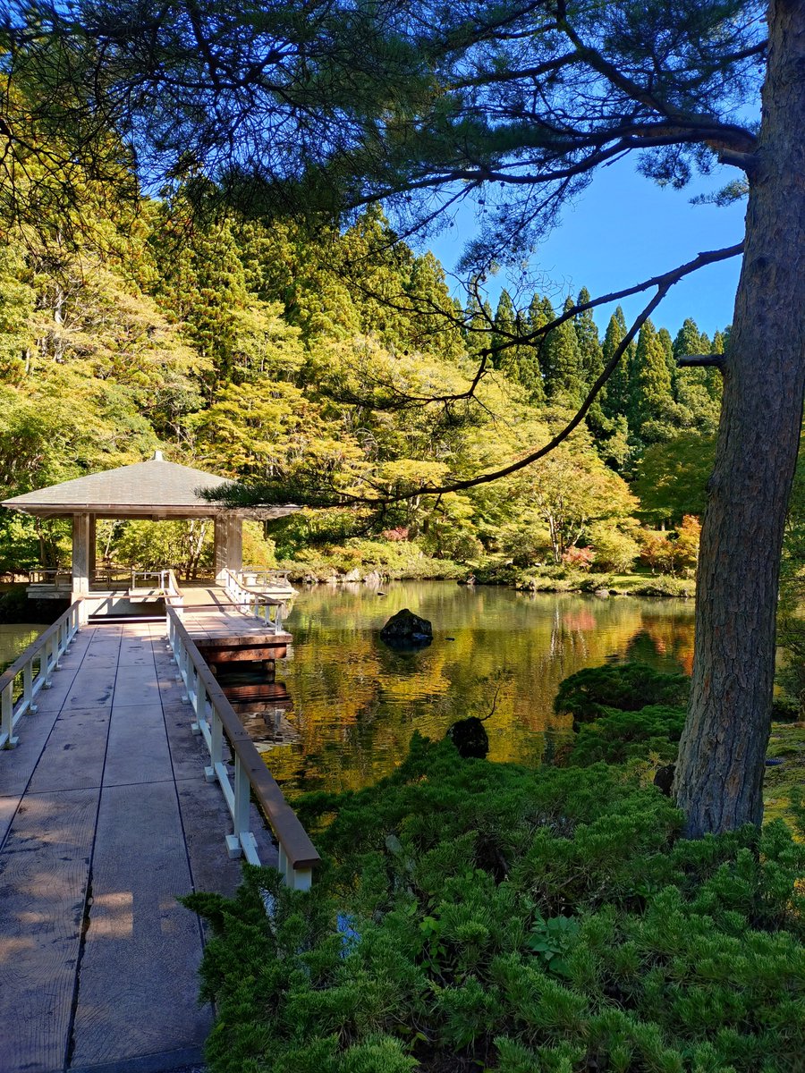 akaicharinco's tweet photo. 涼しいうちに近所の公園を散歩⛲️🚶‍➡️🎵✨️ https://t.co/mgRpxj4UqU