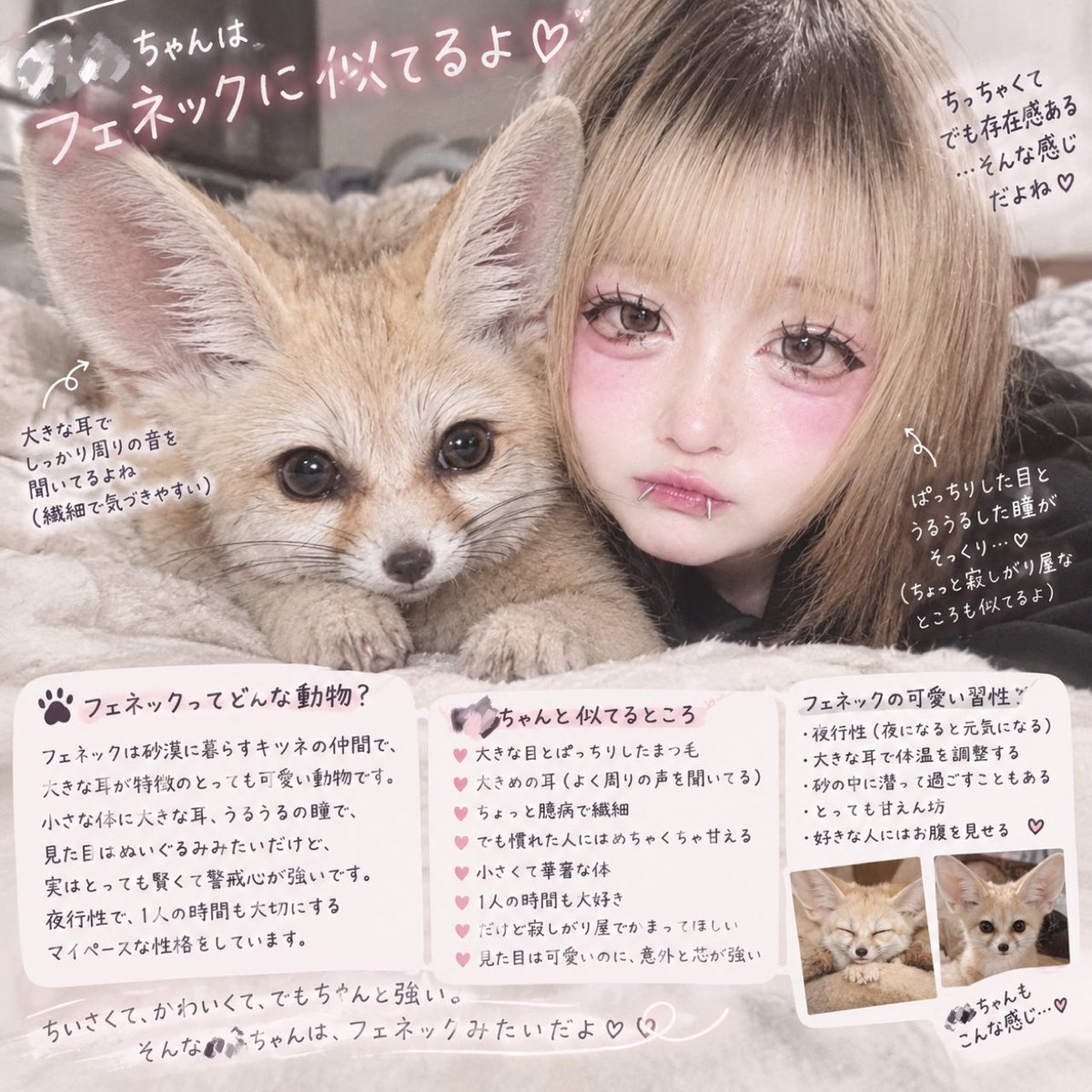 _1o_siro's tweet photo. フェネック、、、❓❓❓

#セクマイさんと繋がりたい #レズビアンさんと繋がりたい #LGBTQさんと繋がりたい #レズビアンさんと繋がりたい  #自撮り界隈  #自撮り界隈の人と繋がりたい   #雰囲気きらいじゃないよって人いいね https://t.co/Vwil42tPou