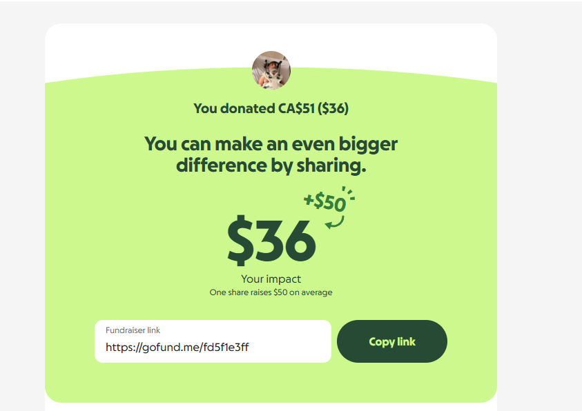 coverlaunchpad's tweet photo. the first donation with our new update https://t.co/vfoHicToee
