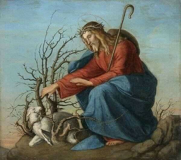 Catholic_bro's tweet photo. He leaves the 99 to find the 1 https://t.co/C0aAFIZ9Ag