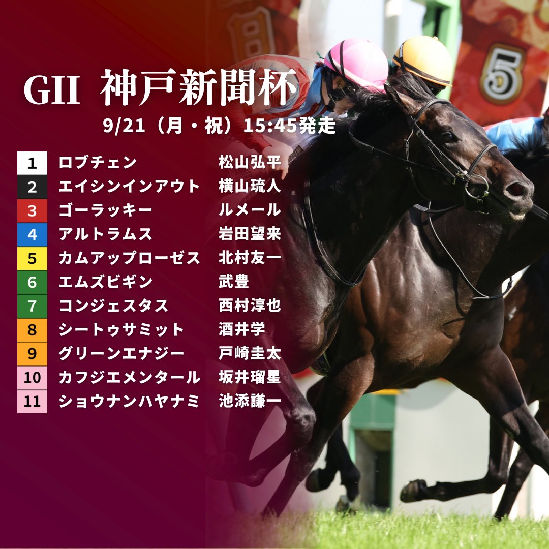 JRAVAN_info's tweet photo. 【#神戸新聞杯】枠順が決定！👏 2冠馬ロブチェンは1枠1番、京都新聞杯の覇者コンジェスタスは6枠7番となりました。 https://t.co/FQEQoEapBf
