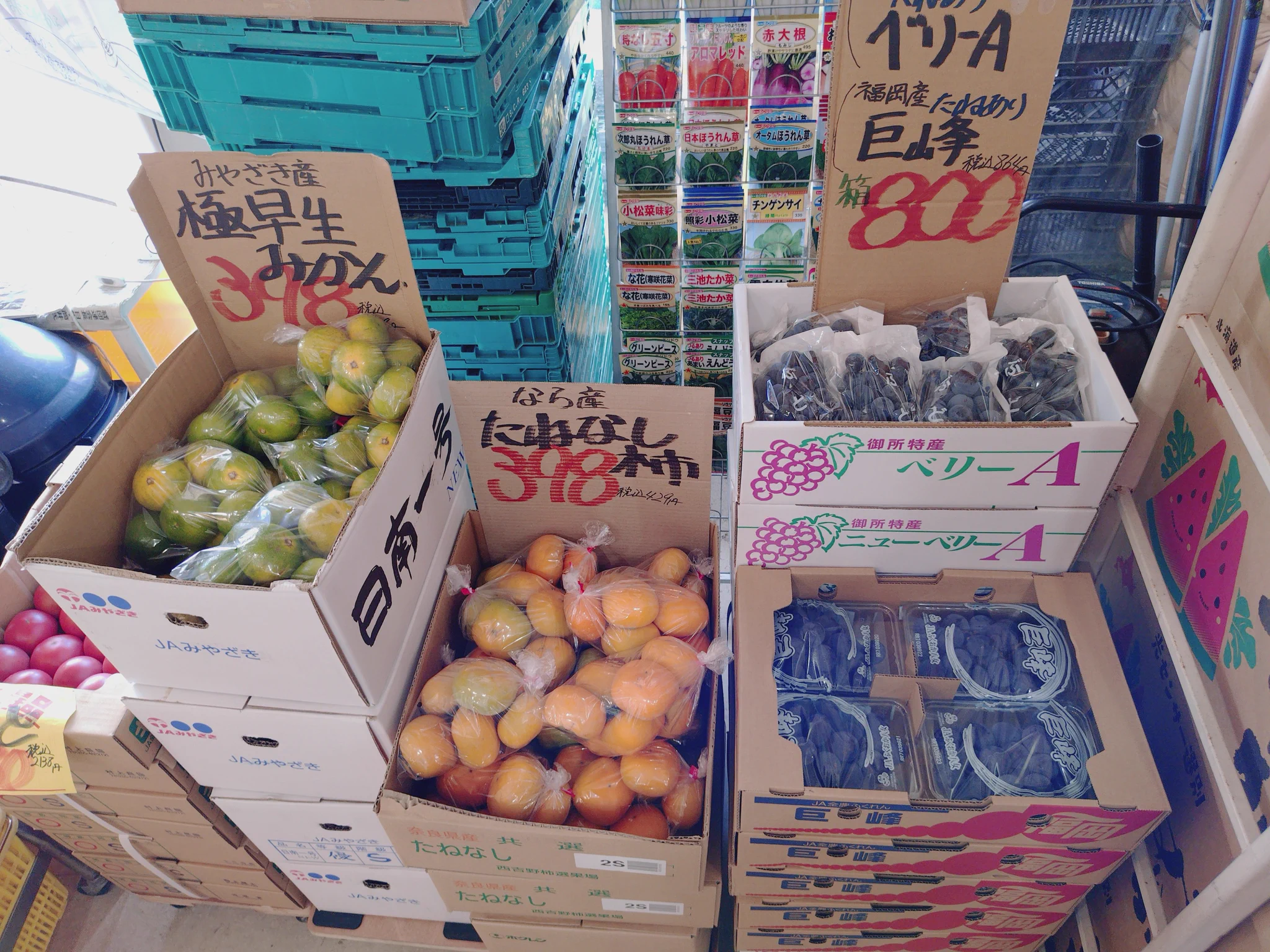 ビニールフルーツ ❁353〜356 亀川商店 公式 on X: 