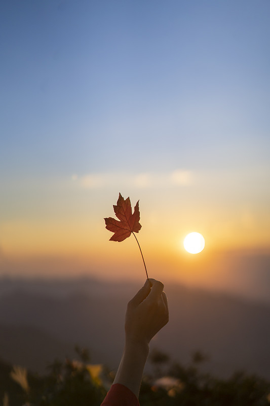 coraa445658's tweet photo. New to photography Start with mastering natural light—golden hour (1hr after sunrise/before sunset) gives warm, soft tones that make shots pop. No fancy gear needed, just your phone. https://t.co/P0wm5SwZTn