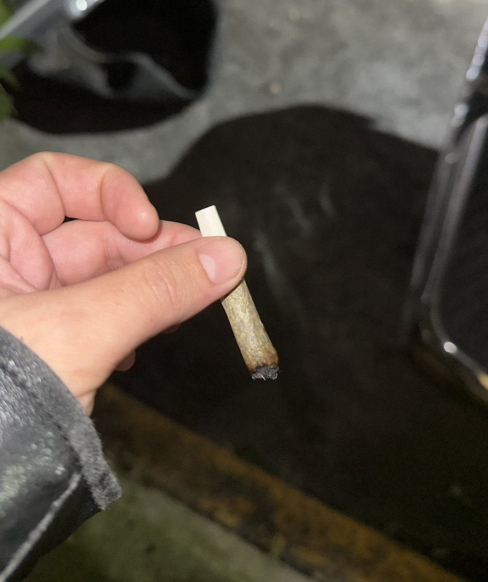 TheDarkChurch's tweet photo. Me encanta apoderarme de los rincones para drogarme bien rico. ¿Ya se drogaron esta tarde noche de viernes?
#Drugstwtlat #Drugstwt #Drugtwt #Subtwt #Weedtwt #Druggie #Junkie #DarkReality #CuatroVeinte #GothTw #DarkTw #UnderTw #Vamptw #Vamptwt #stonertwt https://t.co/zX29szScVL