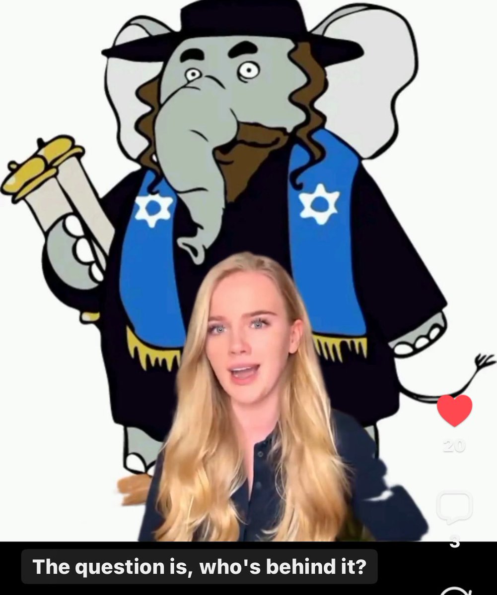 mcdutchess16's tweet photo. Let's talk about Eva... Gatekeeping hoe for the jew. Hangs out with literal pedophiles.
Wake me up when she mentions the jew.
Jew faced by @RestoreMemesDE https://t.co/8gnFrhOnoZ