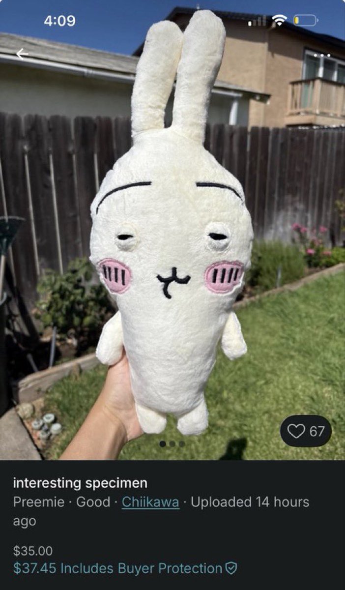 Chii__vrc's tweet photo. 일이 너무 힘들어서 건조 우사기 됨 https://t.co/cEuyhlQEgr
