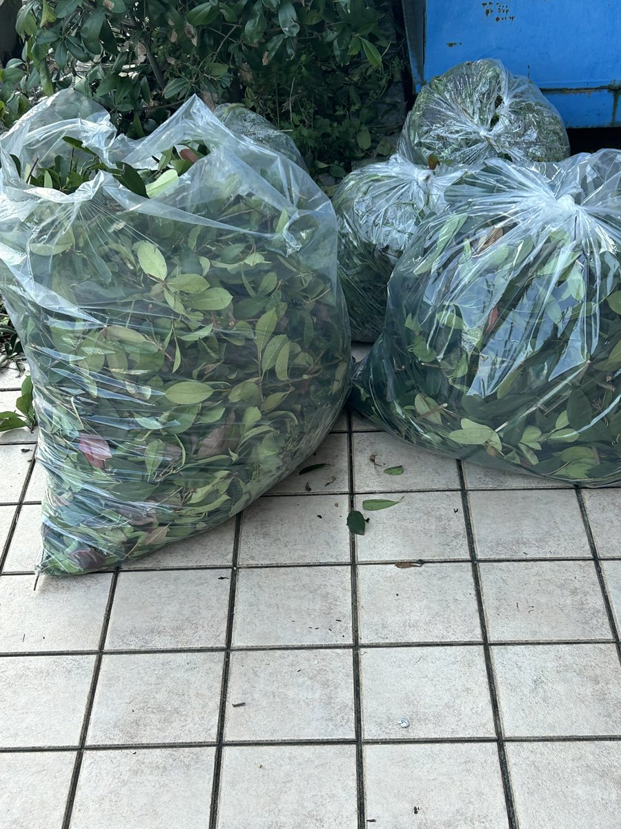 Rider_gilth's tweet photo. 草刈りでタヒにそうなのでカロリー補給。 https://t.co/BgKmVToENG