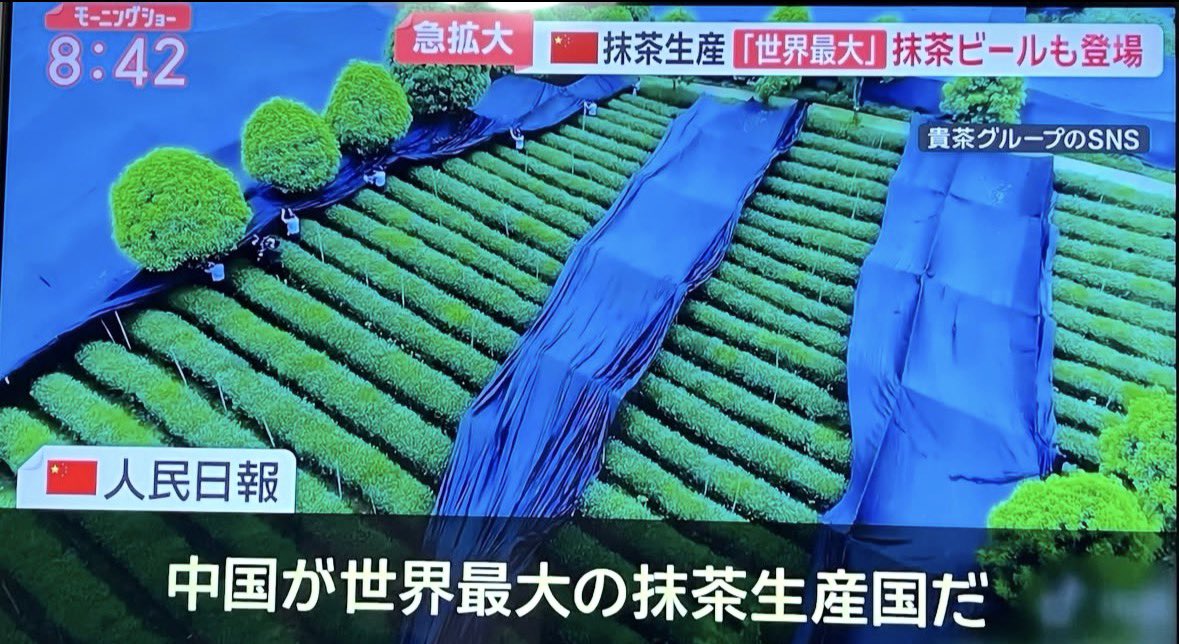 shota201907's tweet photo. は？ありえないんだけど、、

シャインマスカットの次は宇治抹茶？

日本が長年かけて育てたブランドに、
後から乗っかるの本当にやめてほしい。

「宇治」はただの飾りじゃない。
産地と品質と信用そのもの。

偽物が広がれば、本物まで傷つく。

こういうことするから
日本人は中国が大嫌いなんだよ https://t.co/m7q37wCtGO