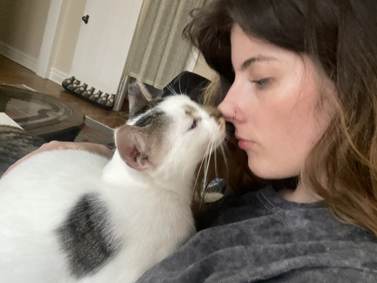 Clockingedin's tweet photo. I get emotional when I think about mouse bc what do you mean he used to live on the street this is not a cat that was ever meant to live outside https://t.co/YyQfxLm5aS