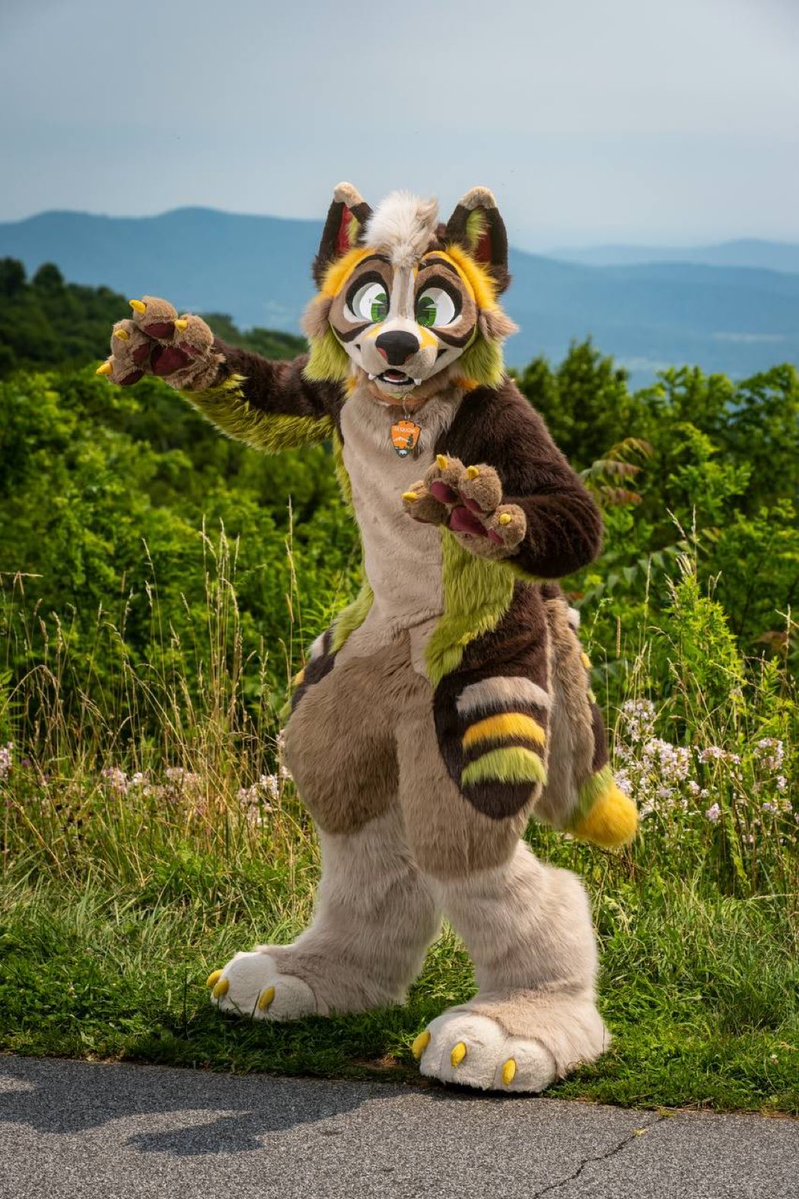 IRateFursuits's tweet photo. Fursuit review #24: @ClimbViaBeaver /Sequoia

Rating: 13/10

Would be the best tour guide for a walk through nature https://t.co/IutegR1W51