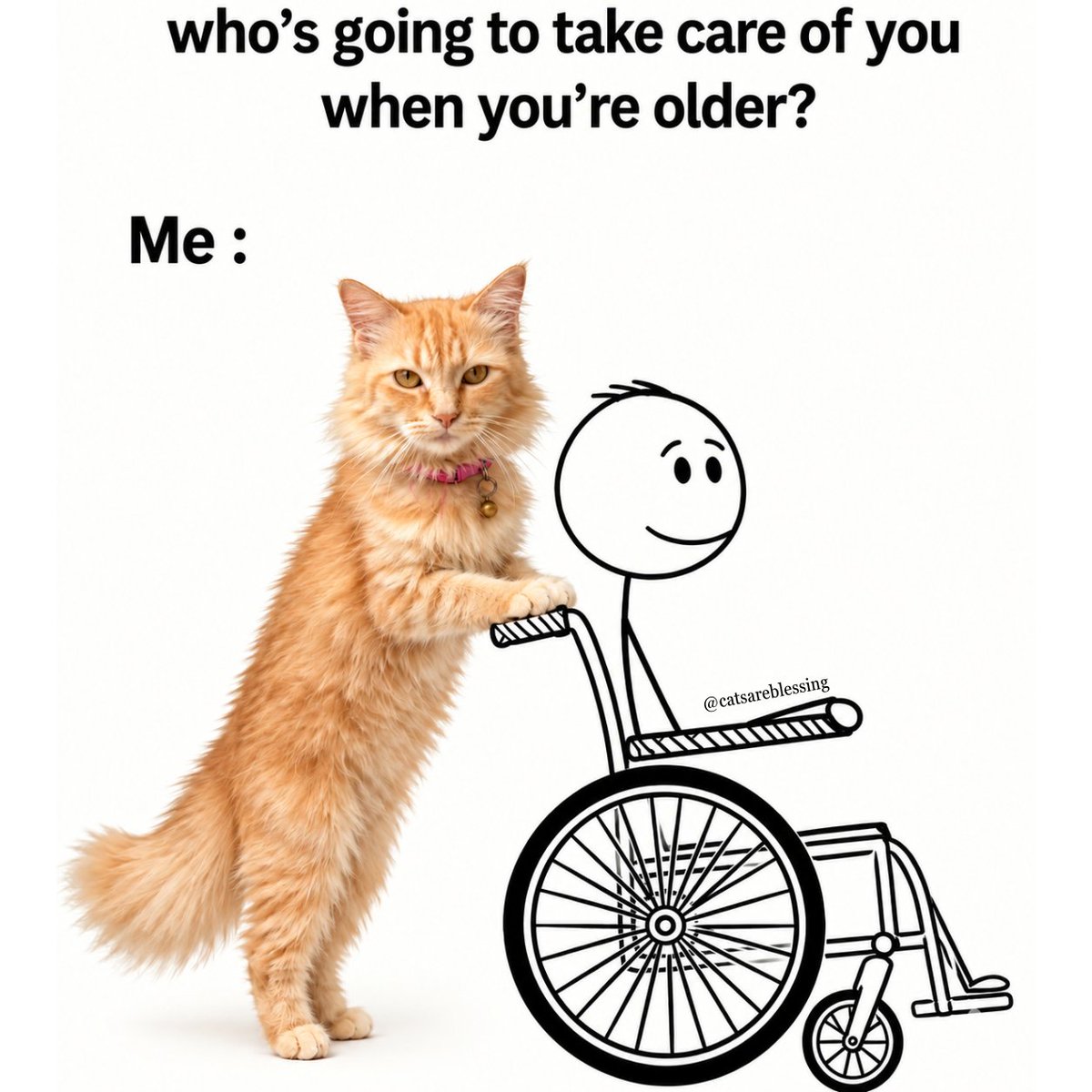 catsareblessing's tweet photo. https://t.co/hZhNxbPPnr
