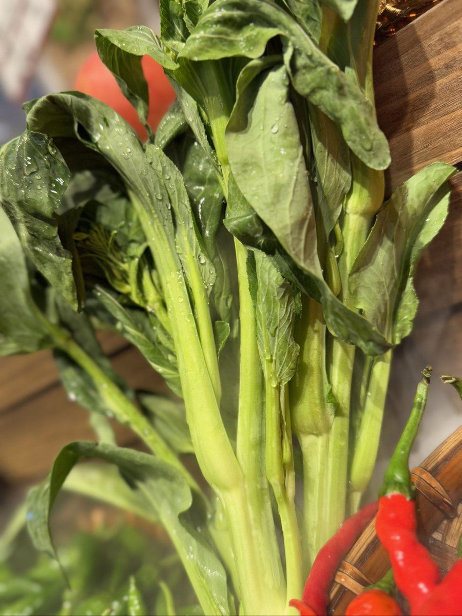 fincm041932's tweet photo. Fresh seasonal veggies just landed at our local market! Grab crisp lettuce, ripe tomatoes, and fragrant basil for your weekend meals—perfect for a light salad or pasta dish. Don’t miss out! https://t.co/zEwrdsN7qP