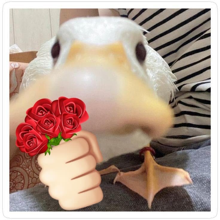 SSTysonYT's tweet photo. @RoweCarmineVT For you as well https://t.co/fSHcvC98Uj