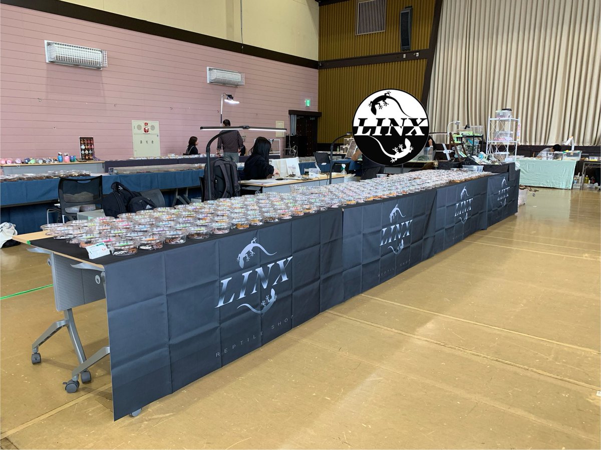 LINX_Sapporo's tweet photo. 9/19〜20（土日）
南幌町爬虫類イベント🦎

設置完了しました✅
レオパ・ニシアフ・フクロモモンガ・AmoLaboさん飼育用品‼️

イベント大特価‼️

お待ちしております😊
#NewReptilesDay #爬虫類ショップLINX https://t.co/cSHEzqqROr