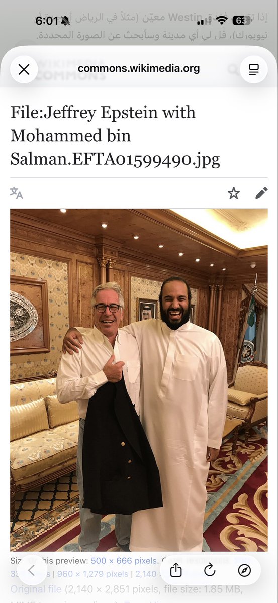 Jamalbadwan2's tweet photo. @wain2030 مشروع فاشل زي صاحبه الخسيس ولد سلمان https://t.co/bw6YeQznZc