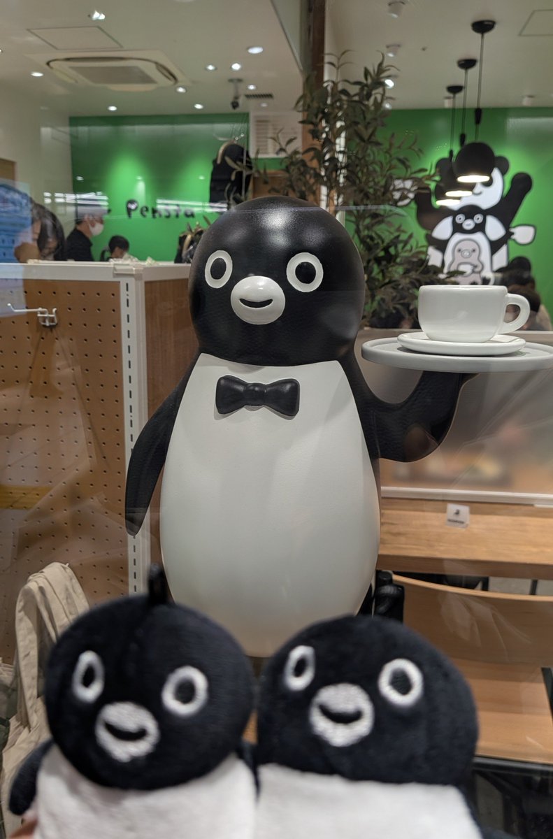 track_penguin's tweet photo. 久しぶりの里帰りのためか、どこか嬉しそうな表情に見えます。 https://t.co/Rjl5hCoyy7