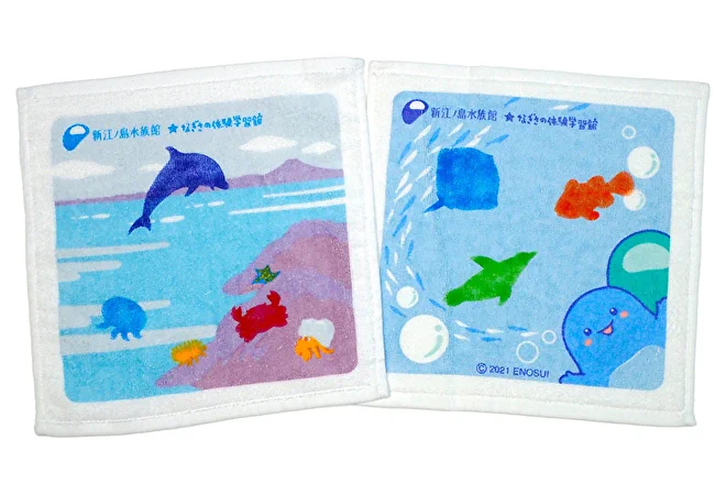 新江ノ島水族館 on X: 