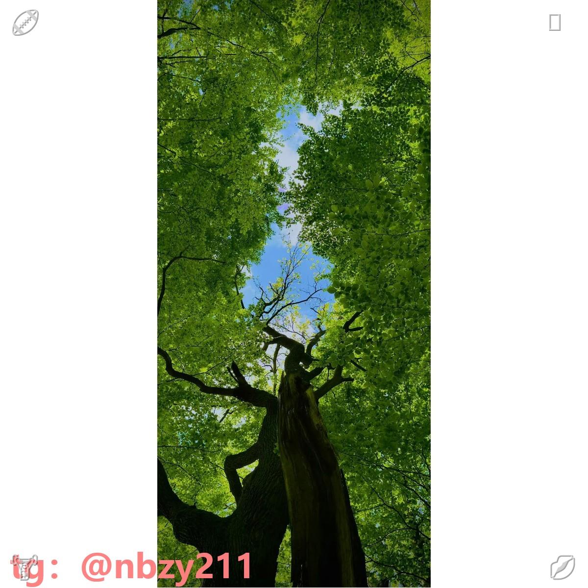 neilkirner's tweet photo. 🤘办证🌃刻章🛢
🍪圭亚那/古巴/缅甸/布基纳法索/身份🧣证
办🐎护照😤
🛥毕业🦎证🎞学信😩网🐭真实🌉可查🕴学历证书🗽文凭👇管理学学士学位证书🥂专业博士学位证书🐽电梯安全管理员证🎮起重机械作业证🧸导游资格证🎠收入证明🦜办户口本 身份证✏
🧓2026-09-19 09:40:35 https://t.co/ZJnDPDzilC