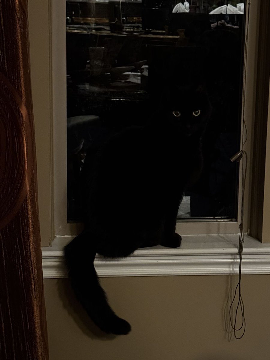 blackscats's tweet photo. https://t.co/uDTsfUhl8R