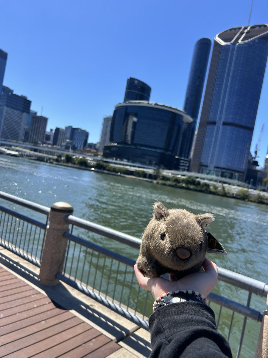 CozyToastyAU's tweet photo. #aus #Australia https://t.co/05aYNO7d2S
