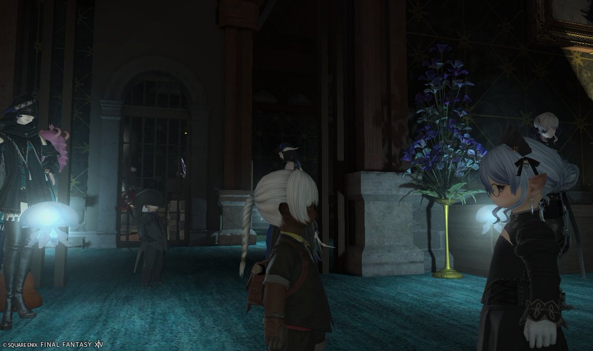 NoraNeko_ff14ac's tweet photo. そんぐちゃんといい年してそんぐちゃんにまとわりつく大人たち(含む🐈)#ティアーズポイント https://t.co/Fz9djjemMt