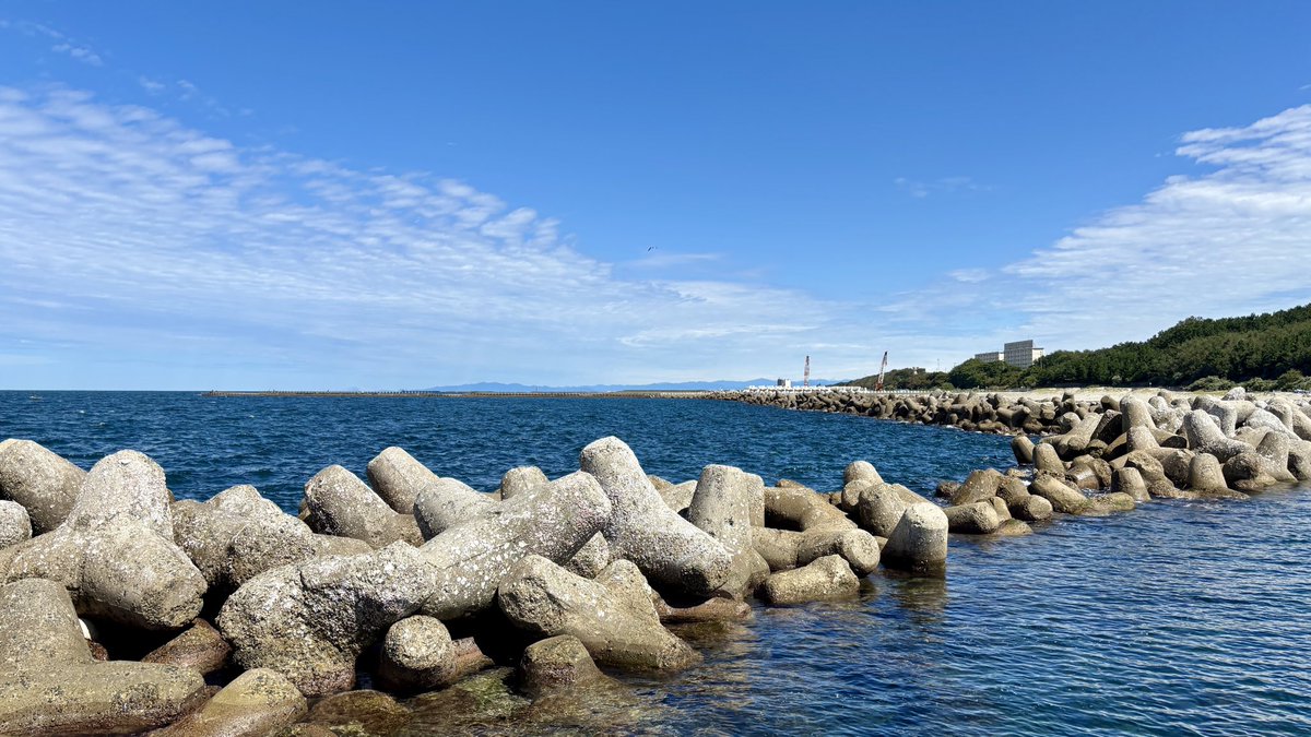 mae_qa's tweet photo. 新潟来たので、せっかくなので日本海拝みに少し観光しました！海がキレイ… https://t.co/IsvD73nl3s