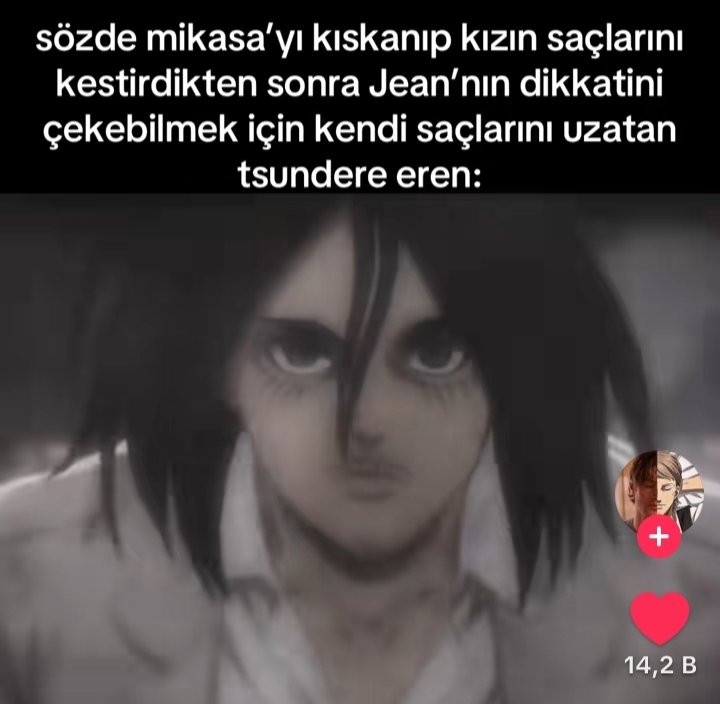 manonelif's tweet photo. Mikasa çekil aradan https://t.co/gvkpXwgvKo