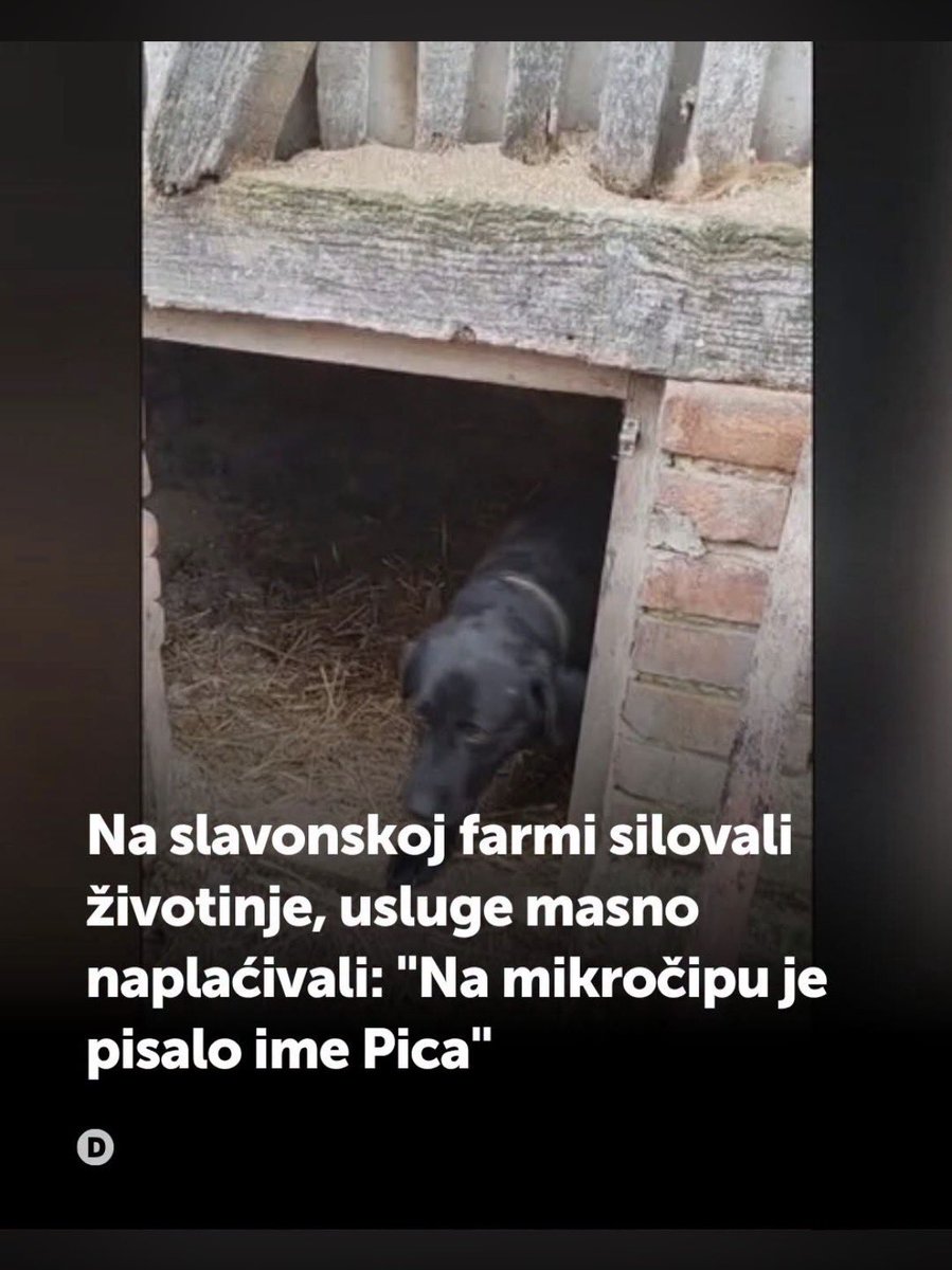 KhanHasse881's tweet photo. @trecientitet Da malo manje jebete zivotinje a malo više da se razmnozavate ne bi vas preglasavali. https://t.co/9BbjTi70FM