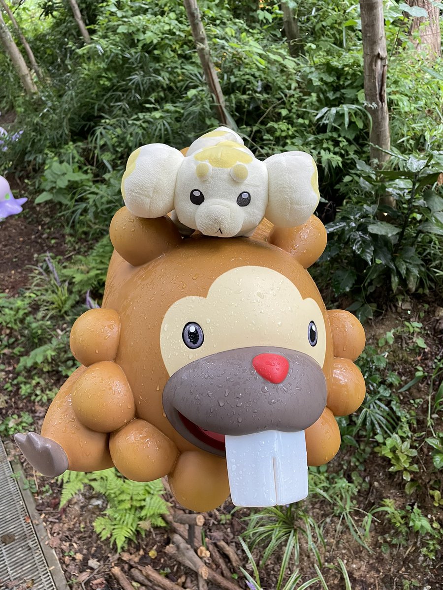 motimotipapimo's tweet photo. 素敵な前歯モチ！🦷
乗り心地も最高モチ〜！ https://t.co/xq0zCf4IWN