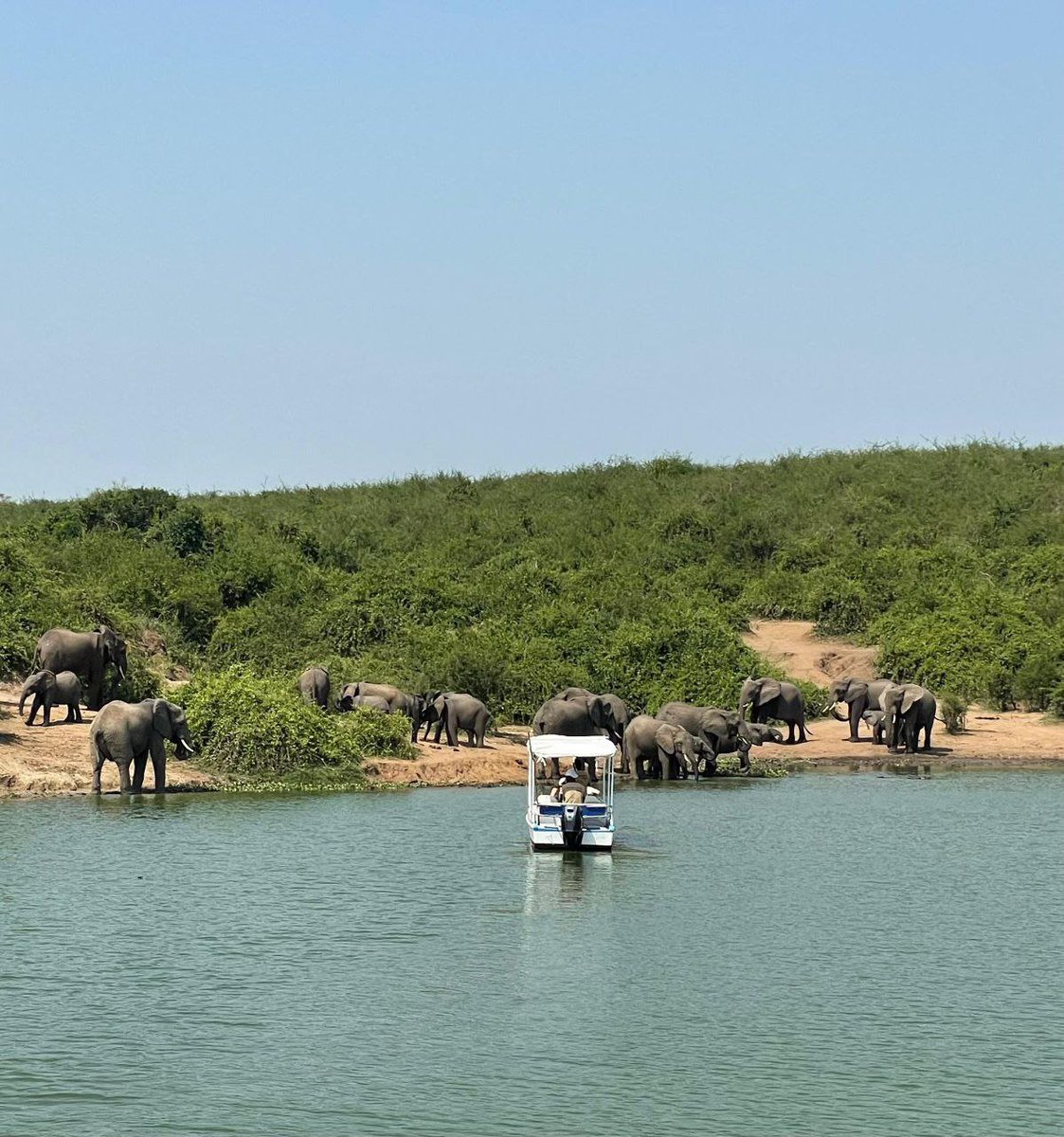 jeericknews's tweet photo. When you're in Queen Elizabeth National Park, don't miss a boat cruise as you enjoy breathtaking wildlife views along the Kazinga Channel. 

Kindly come to Kasese for the Open Park Days happening from 25th–27th September 2026 and experience the beauty of Queen Elizabeth National Park.

#OpenParkDays2026
#ExploreKasese