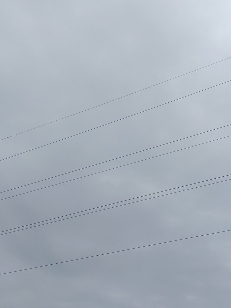 Perception38716 tweet picture