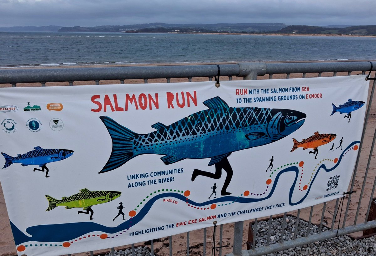 AdrianHarding99's tweet photo. About to start the 72km Salmon Run from Exmouth to Dulverton. Breezy but dry 👍
#UKRunChat #Running https://t.co/IwgoPoY9Uy