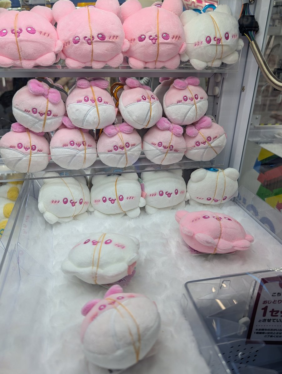 Zero_Talk_'s tweet photo. 昨日グラニフの後GIGO行ってすもたちの新プライズ発見できた！🤍
カラビナ付の欲しかったんだけど3000円以上入れても取れず半泣きで諦め、、😭
店変えておっきいやつはゲット🥹めちゃかわいい~~~同じくらいの大きさの羊と比べておめめおっきくなってる👏🏻🤍 https://t.co/uopcMnHBGh