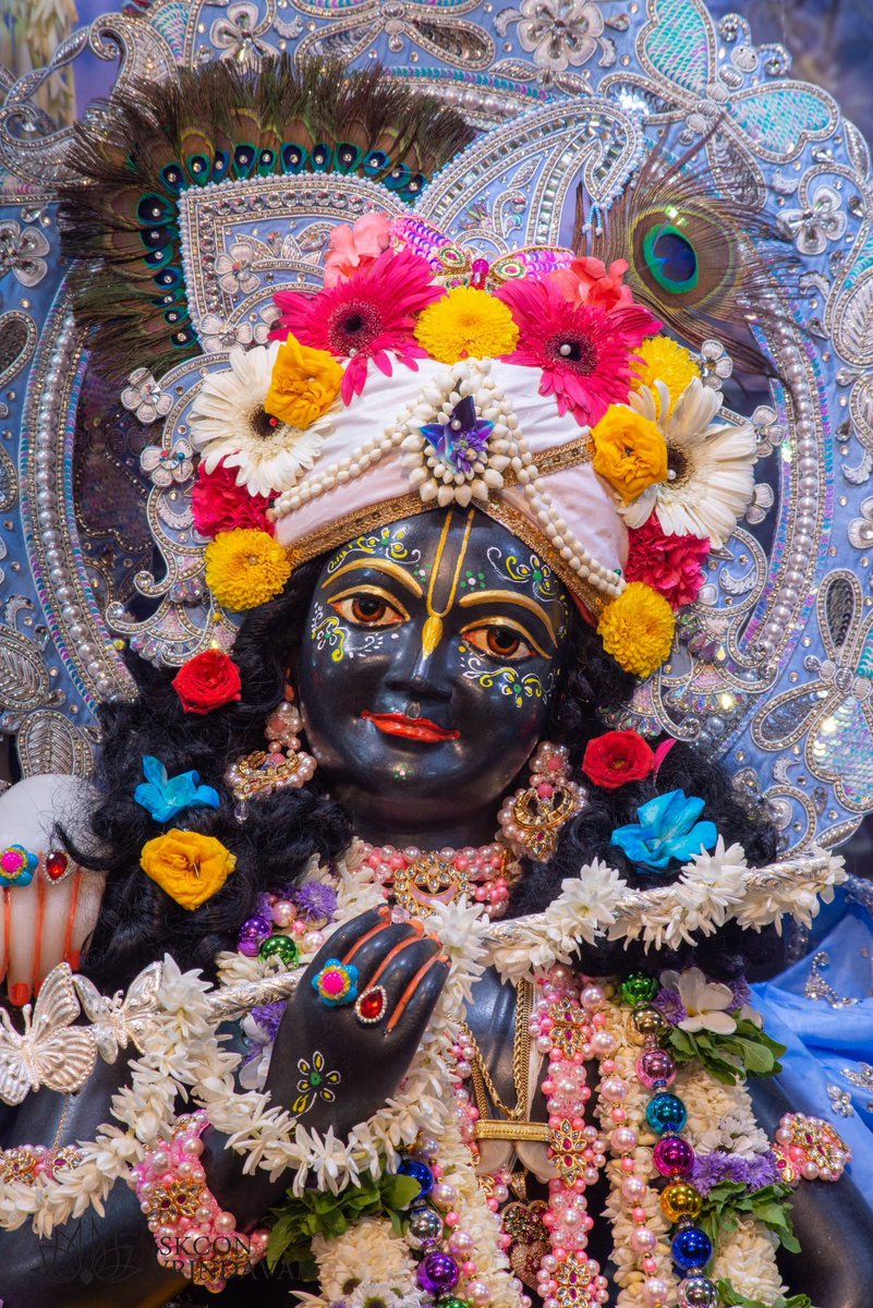 theholy_monk's tweet photo. Today's Singar Darshan 
ISKCON Temple Vrindavan 
Date: 19 Sep 2026

Radhastami Special Darshan 🍎
Krishna Balaram 🌷🏵️🎉🤣🥀 https://t.co/UK7F4KOj7Y