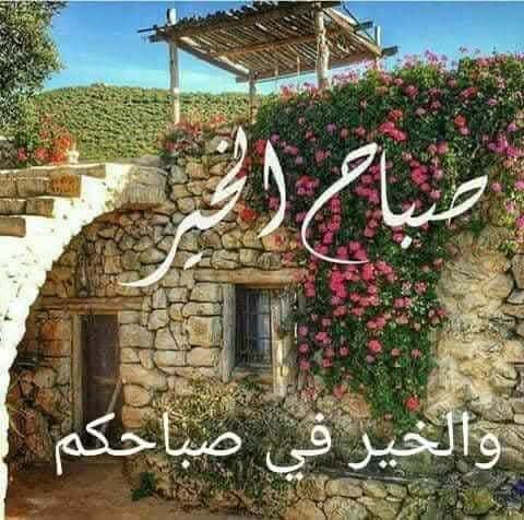 Assi16614166's tweet photo. @Maria85654098 https://t.co/T7BQzhDiAe