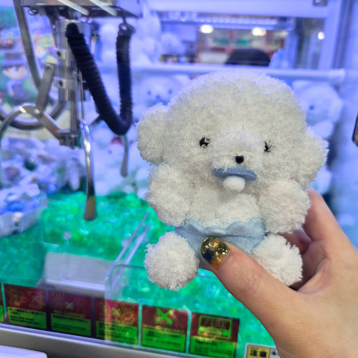 d7_sgm's tweet photo. クレーンゲームでじょせまるをお迎えしました🤍🍼
2回目でとれてびっくり.ᐟ.ᐟ

名前は『まる』です👶🏼🍼🪽
よろしくね٩꒰｡•◡•｡꒱۶ https://t.co/BWOohdNFGW