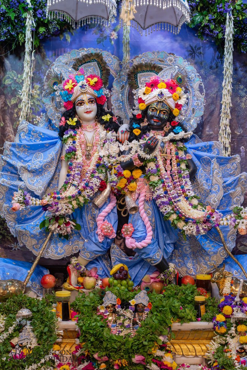 theholy_monk's tweet photo. Today's Singar Darshan 
ISKCON Temple Vrindavan 
Date: 19 Sep 2026

Radhastami Special Darshan 🍎
Krishna Balaram 🌷🏵️🎉🤣🥀 https://t.co/UK7F4KOj7Y