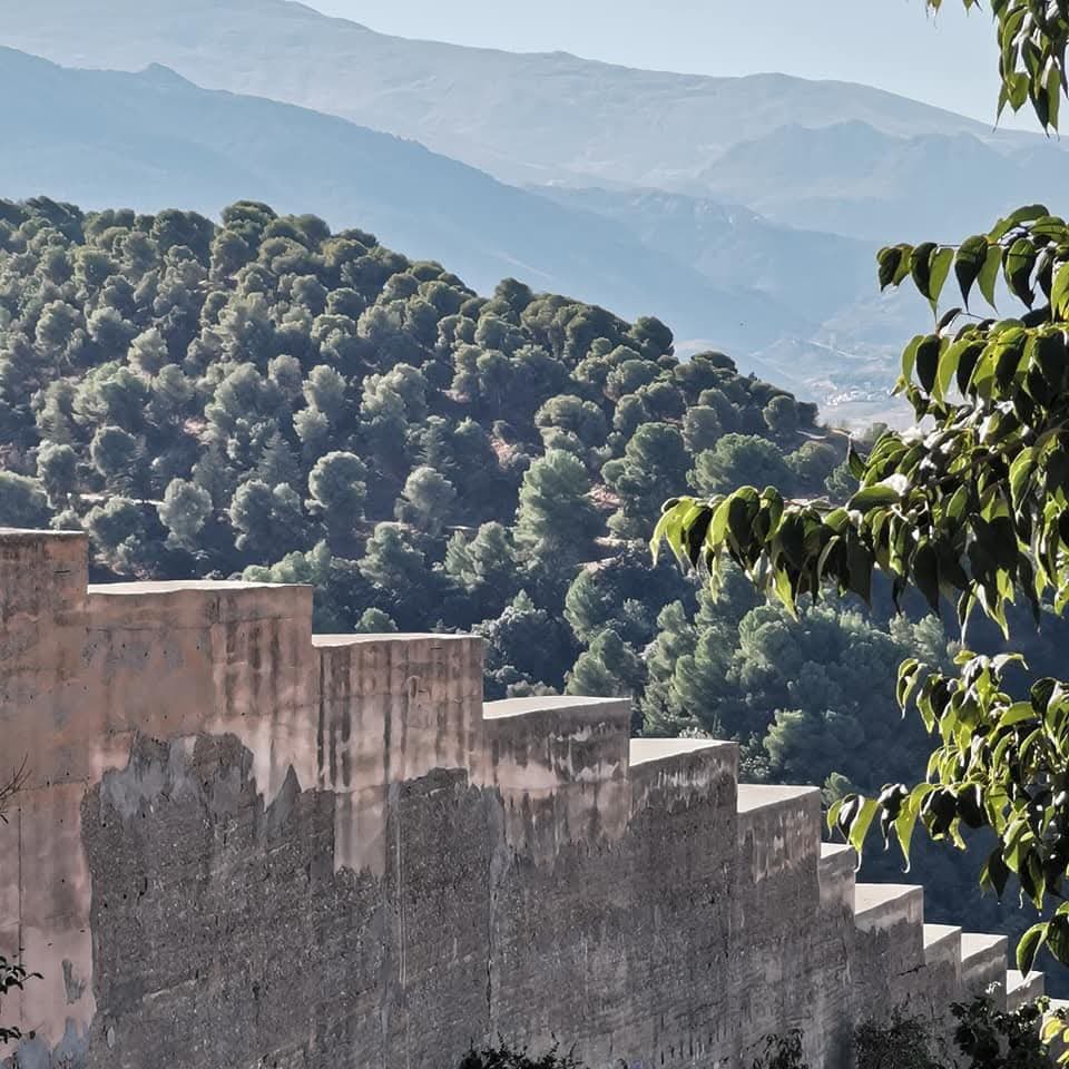 milostisland's tweet photo. Decía Lorca que la mañana despertaba con suaves ondas de reptil......

#granada https://t.co/qryQUI7yPO