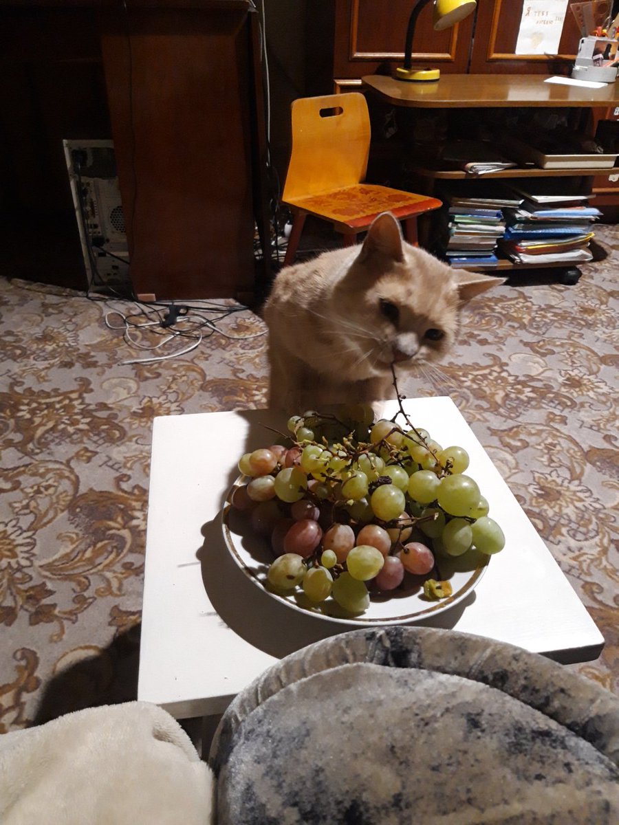 a_vla's tweet photo. Не твоё, а наше https://t.co/Da2p7EHnK8
