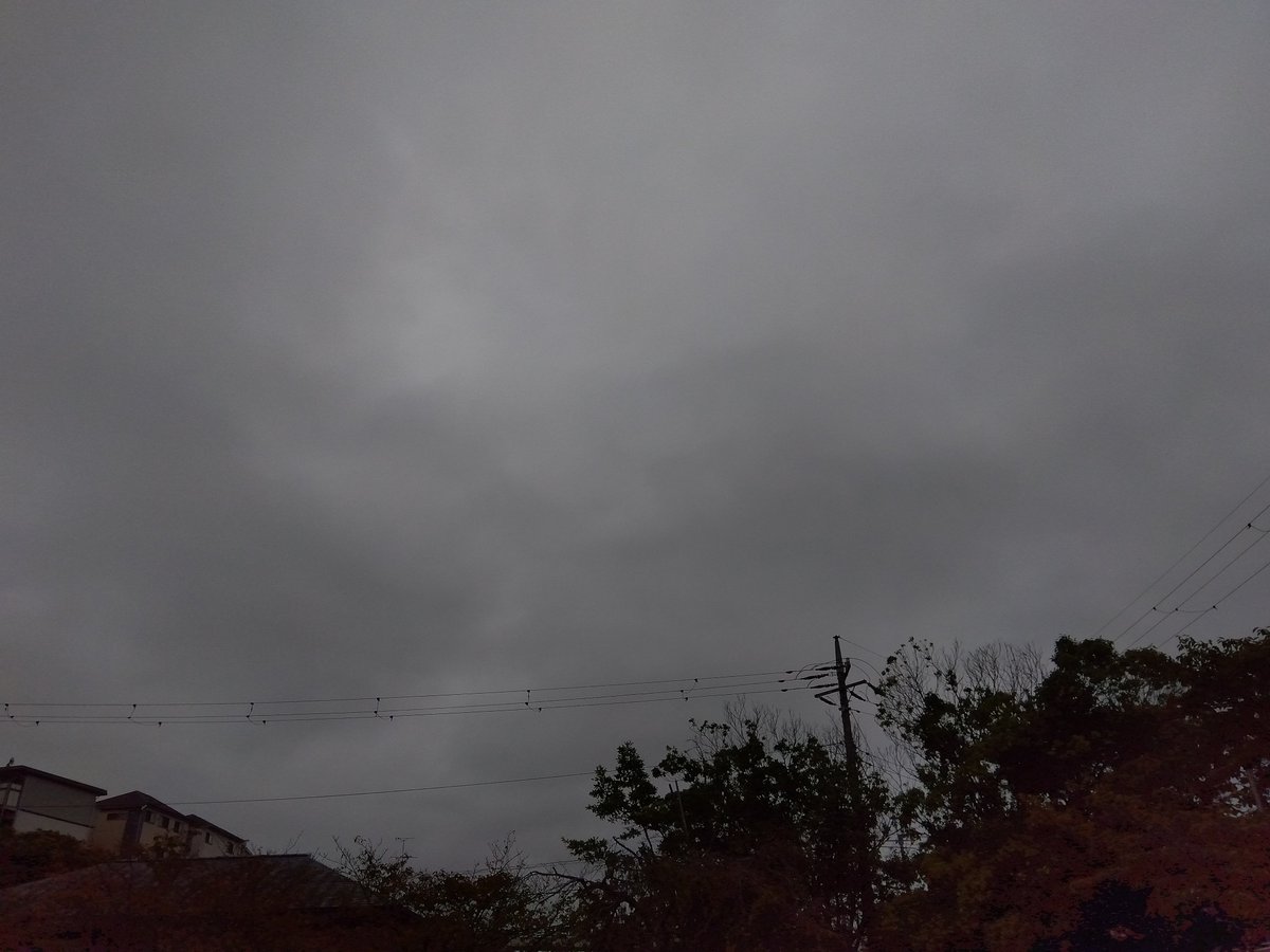 MakoVw3's tweet photo. 今日の花と空🌺☁️
#花　#空　#千葉県千葉市 https://t.co/57fqro3Ytl
