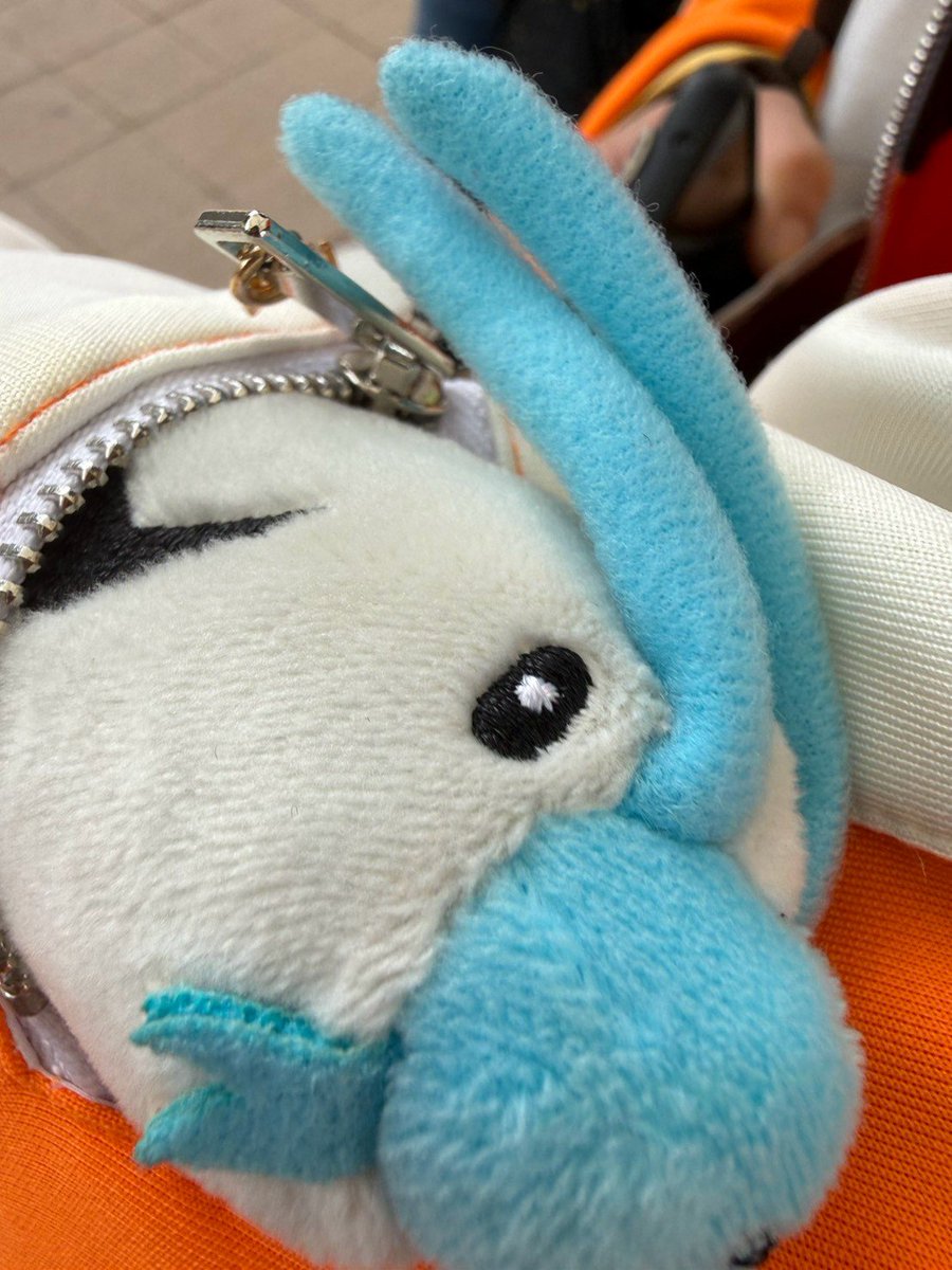 dochogiggi's tweet photo. ジャージにドジョッチ入れて出掛けてます https://t.co/q1cgdQ1RBu