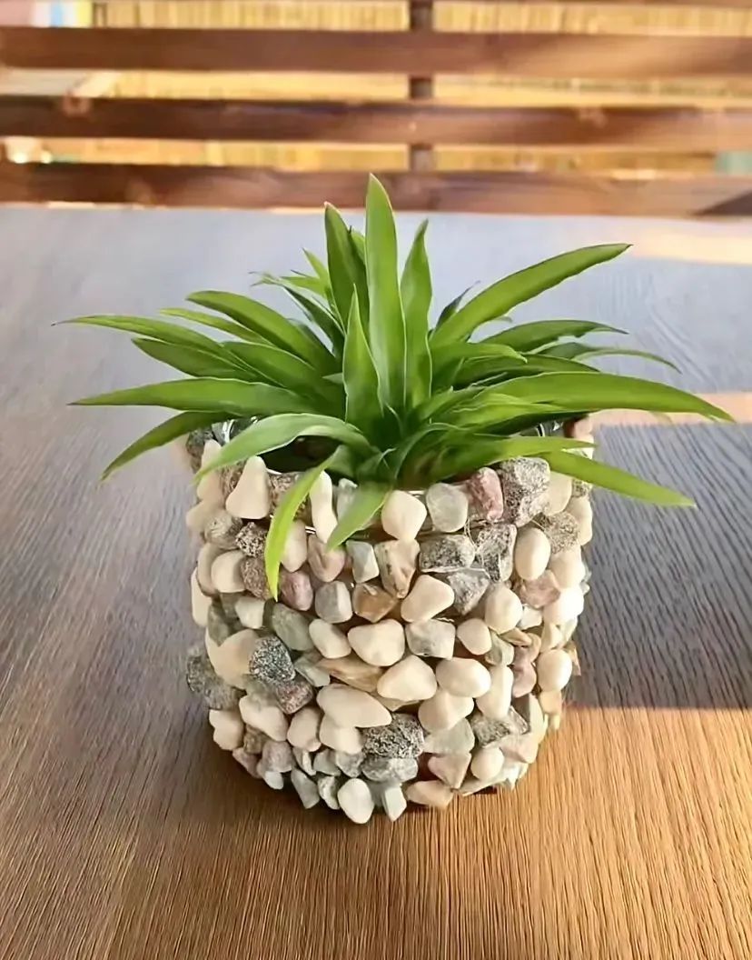 softz397499's tweet photo. Just finished my first DIY concrete planter!  No fancy tools needed—just cement, a mold, and a little patience. Total win for my small balcony garden! https://t.co/jEhCJCa98k