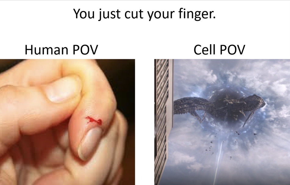 meme__jpg's tweet photo. https://t.co/pCdyaEBF0O